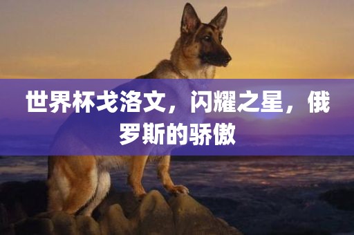 世界杯戈洛文，闪耀之星，俄罗斯的骄傲