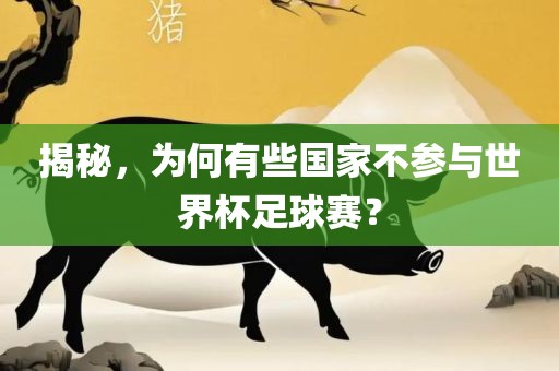 揭秘，为何有些国家不参与世界杯足球赛？