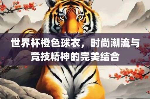 世界杯橙色球衣，时尚潮流与竞技精神的完美结合