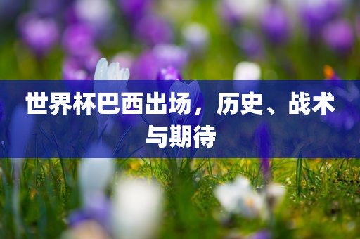 世界杯巴西出场，历史、战术与期待
