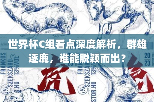 世界杯C组看点深度解析，群雄逐鹿，谁能脱颖而出？