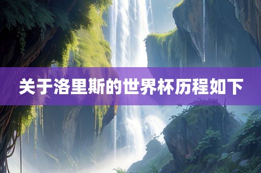 关于洛里斯的世界杯历程如下