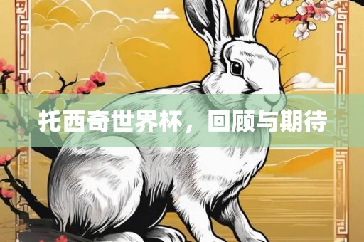 托西奇世界杯，回顾与期待