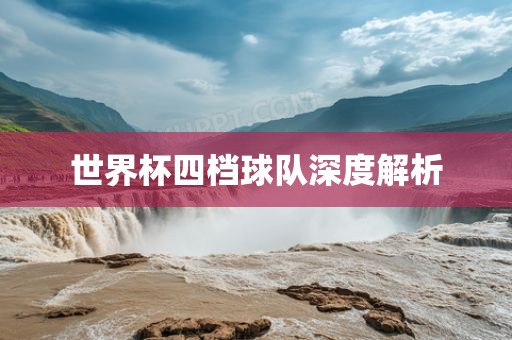 世界杯四档球队深度解析