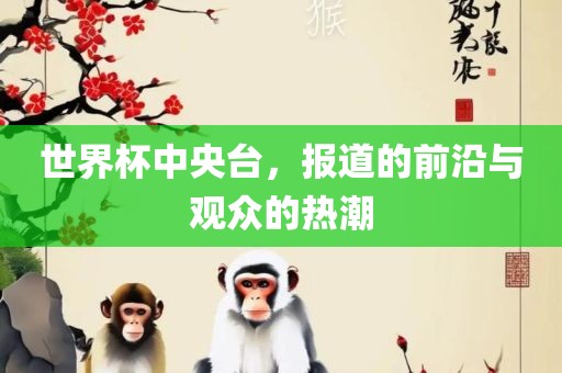 世界杯中央台，报道的前沿与观众的热潮