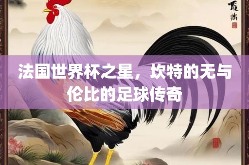 法国世界杯之星，坎特的无与伦比的足球传奇
