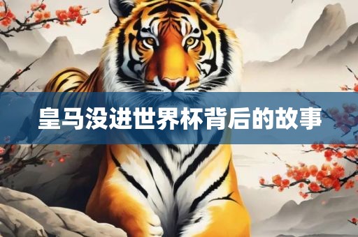 皇马没进世界杯背后的故事