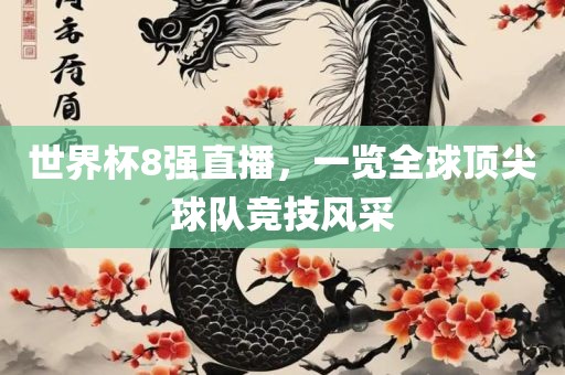 世界杯8强直播，一览全球顶尖球队竞技风采