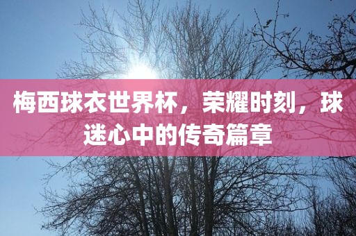 梅西球衣世界杯，荣耀时刻，球迷心中的传奇篇章