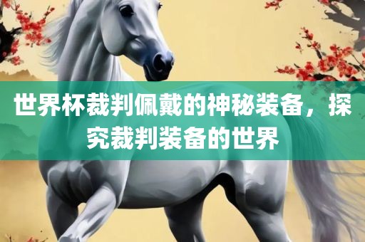 世界杯裁判佩戴的神秘装备，探究裁判装备的世界