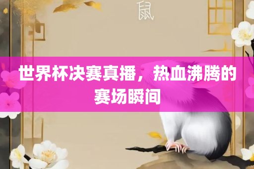 世界杯决赛真播，热血沸腾的赛场瞬间