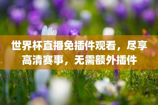 世界杯直播免插件观看，尽享高清赛事，无需额外插件