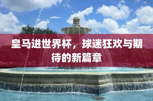 皇马进世界杯，球迷狂欢与期待的新篇章