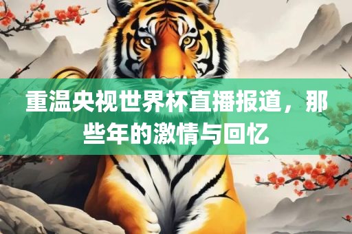 重温央视世界杯直播报道，那些年的激情与回忆