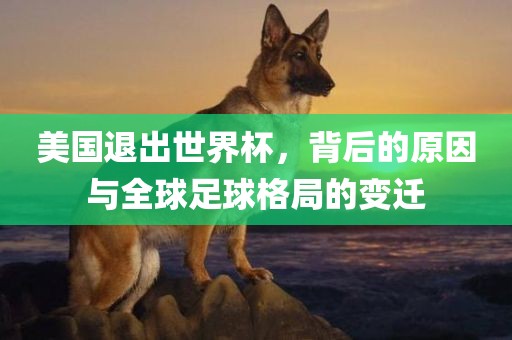 美国退出世界杯，背后的原因与全球足球格局的变迁