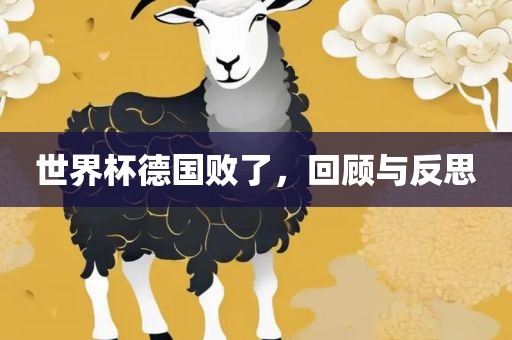 世界杯德国败了，回顾与反思