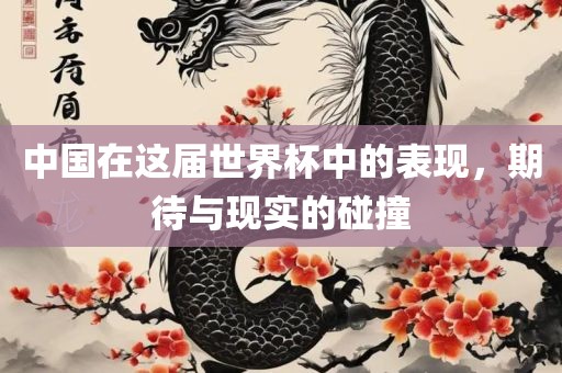中国在这届世界杯中的表现，期待与现实的碰撞