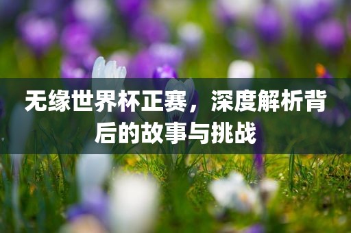 无缘世界杯正赛，深度解析背后的故事与挑战