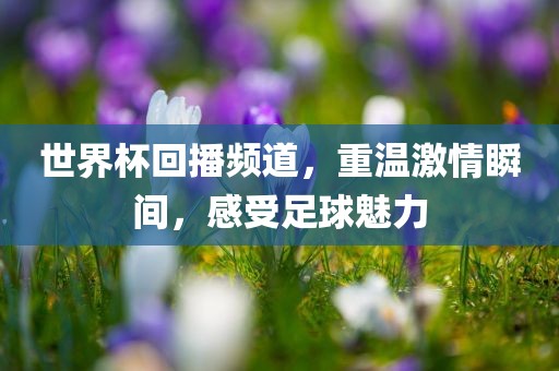 世界杯回播频道，重温激情瞬间，感受足球魅力