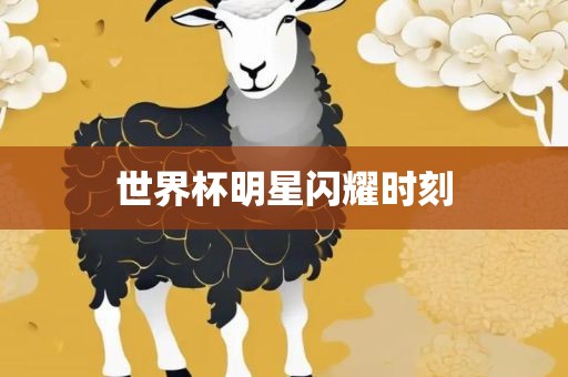 世界杯明星闪耀时刻广西贺州市华昌新材料有限公司