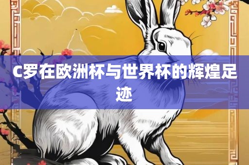 C罗在欧洲杯与世界杯的辉煌足迹