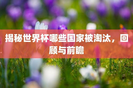 揭秘世界杯哪些国家被淘汰，回顾与前瞻