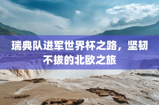 瑞典队进军世界杯之路，坚韧不拔的北欧之旅