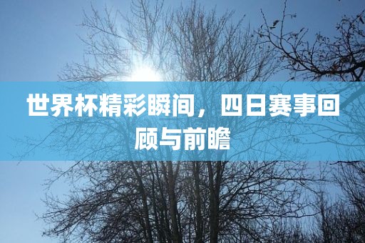 世界杯精彩瞬间，四日赛事回顾与前瞻