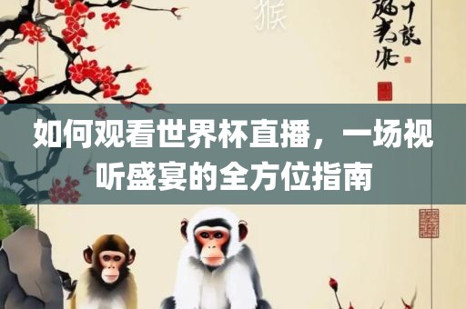 如何观看世界杯直播，一场视听盛宴的全方位指南