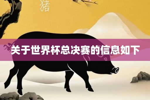 关于世界杯总决赛的信息如下广西贺州市华昌新材料有限公司