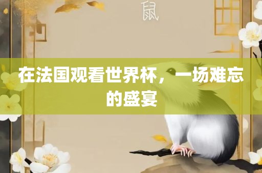 在法国观看世界杯，一场难忘的盛宴