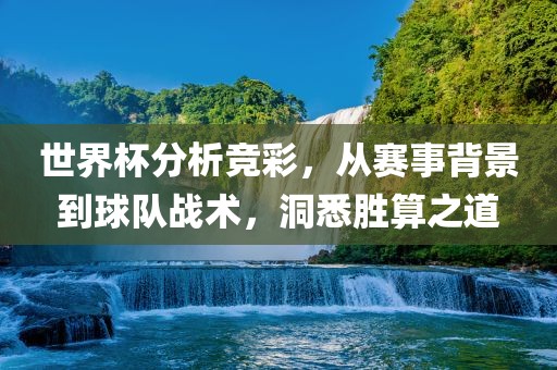世界杯分析竞彩，从赛事背景到球队战术，洞悉胜算之道