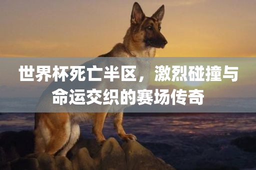 世界杯死亡半区，激烈碰撞与命运交织的赛场传奇