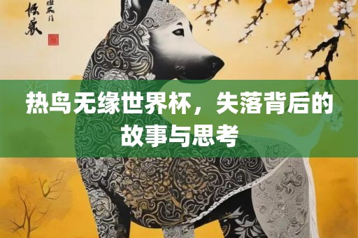 热鸟无缘世界杯，失落背后的故事与思考
