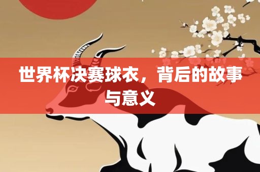 世界杯决赛球衣，背后的故事与意义