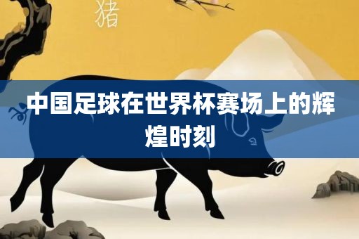 中国足球在世界杯赛场上的辉煌时刻