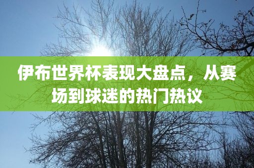伊布世界杯表现大盘点，从赛场到球迷的热门热议
