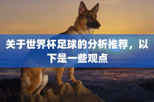 关于世界杯足球的分析推荐，以下是一些观点
