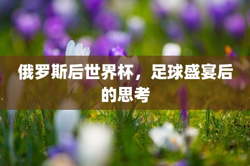 俄罗斯后世界杯，足球盛宴后的思考