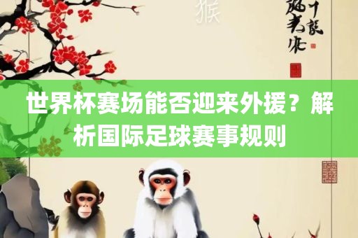 世界杯赛场能否迎来外援？解析国际足球赛事规则