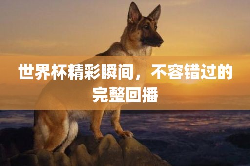 世界杯精彩瞬间，不容错过的完整回播