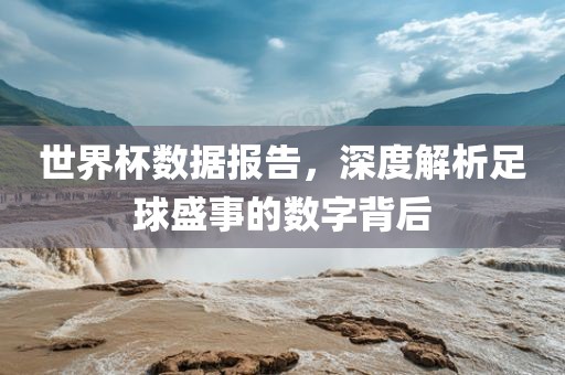 世界杯数据报告，深度解析足球盛事的数字背后