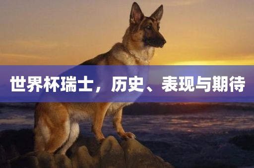世界杯瑞士，历史、表现与期待广西贺州市华昌新材料有限公司
