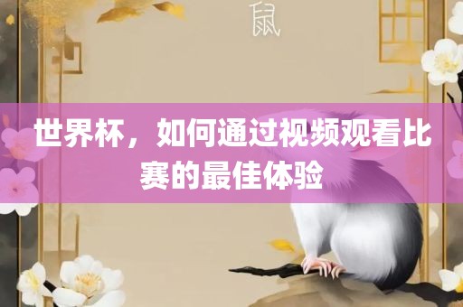 世界杯，如何通过视频观看比赛的最佳体验