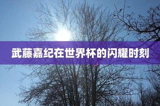 武藤嘉纪在世界杯的闪耀时刻
