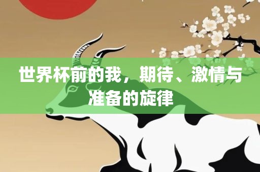 世界杯前的我，期待、激情与准备的旋律