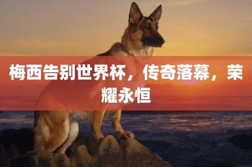 梅西告别世界杯，传奇落幕，荣耀永恒