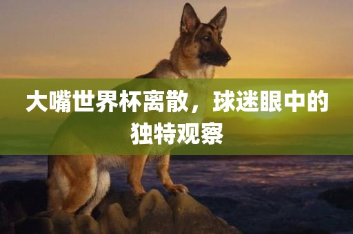 大嘴世界杯离散，球迷眼中的独特观察