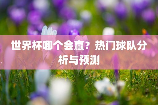 世界杯哪个会赢？热门球队分析与预测