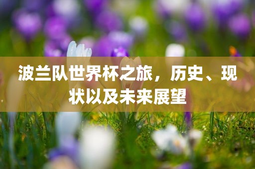 波兰队世界杯之旅，历史、现状以及未来展望